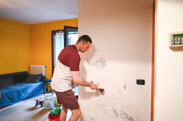 Professional Mold Remediation in Arkwright, SC
